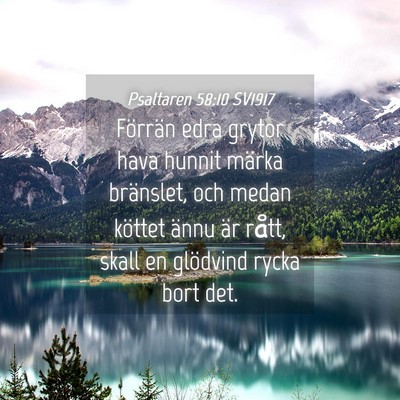 Picture 04 - Psaltaren 58:10 SV1917 - Förrän edra grytor hava hunnit märka - Bible Verse Picture