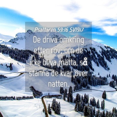 Picture 04 - Psaltaren 59:16 SV1917 - De driva omkring efter rov; om de icke bliva - Bible Verse Picture