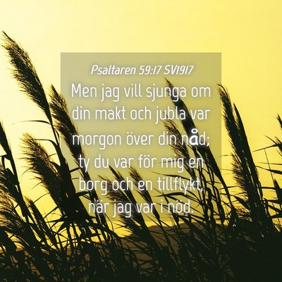 Picture 04 - Psaltaren 59:17 SV1917 - Men jag vill sjunga om din makt och jubla var - Bible Verse Picture