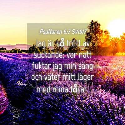 Picture 04 - Psaltaren 6:7 SV1917 - Jag är så trött av suckande; var natt fuktar - Bible Verse Picture