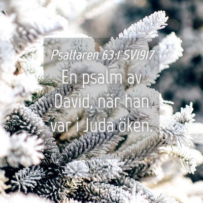 Picture 04 - Psaltaren 63:1 SV1917 - En psalm av David, när han var i Juda - Bible Verse Picture