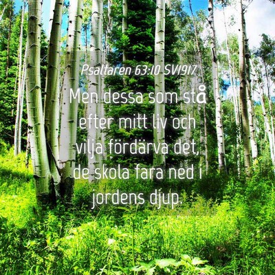 Picture 04 - Psaltaren 63:10 SV1917 - Men dessa som stå efter mitt liv och vilja - Bible Verse Picture