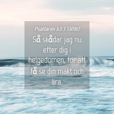 Picture 04 - Psaltaren 63:3 SV1917 - Så skådar jag nu efter dig i helgedomen, för - Bible Verse Picture