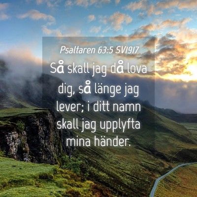 Picture 04 - Psaltaren 63:5 SV1917 - Så skall jag då lova dig, så länge jag lever; - Bible Verse Picture