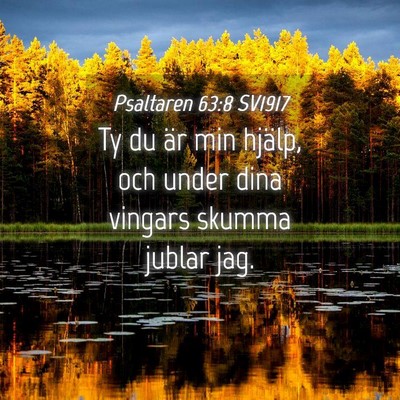 Picture 04 - Psaltaren 63:8 SV1917 - Ty du är min hjälp, och under dina vingars - Bible Verse Picture