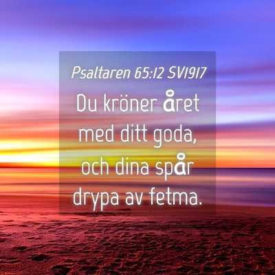 Picture 04 - Psaltaren 65:12 SV1917 - Du kröner året med ditt goda, och dina spår - Bible Verse Picture