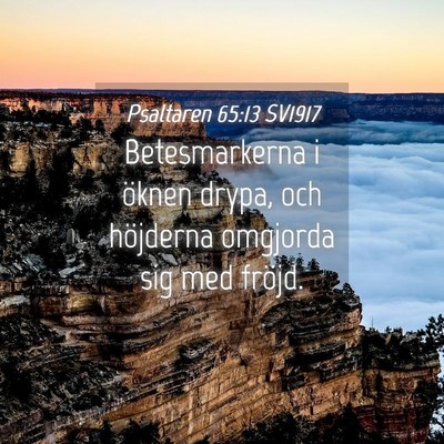 Picture 04 - Psaltaren 65:13 SV1917 - Betesmarkerna i öknen drypa, och höjderna - Bible Verse Picture