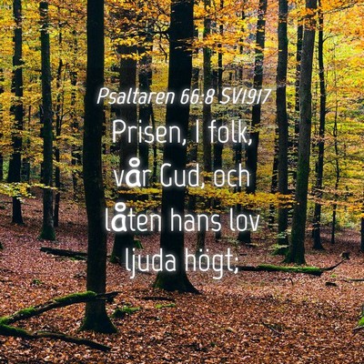Picture 04 - Psaltaren 66:8 SV1917 - Prisen, I folk, vår Gud, och låten hans lov - Bible Verse Picture