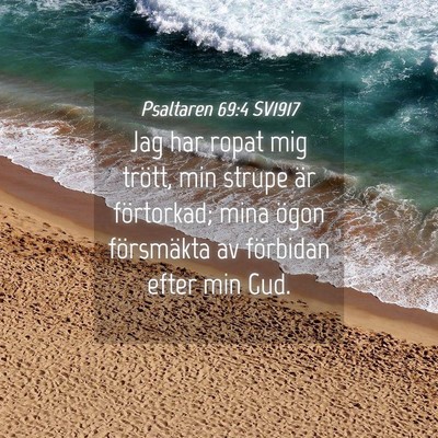 Picture 04 - Psaltaren 69:4 SV1917 - Jag har ropat mig trött, min strupe är - Bible Verse Picture