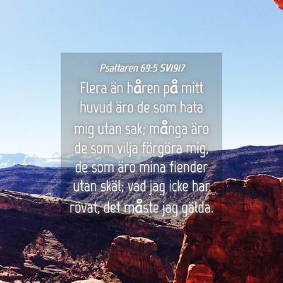 Picture 04 - Psaltaren 69:5 SV1917 - Flera än håren på mitt huvud äro de som hata - Bible Verse Picture
