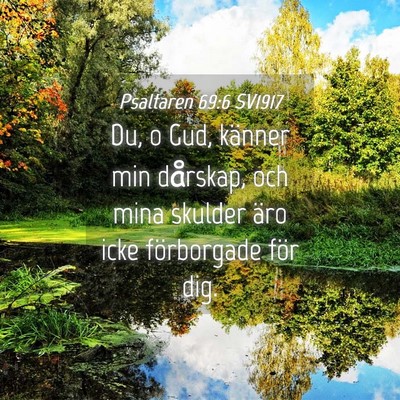 Picture 04 - Psaltaren 69:6 SV1917 - Du, o Gud, känner min dårskap, och mina skulder - Bible Verse Picture