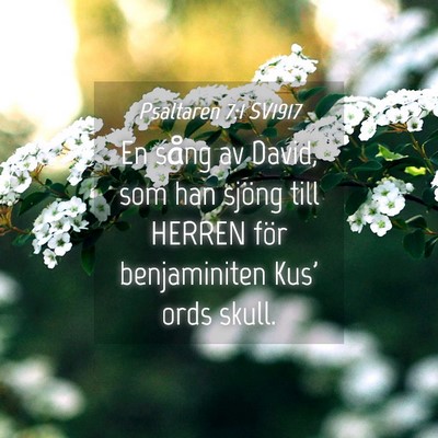 Picture 04 - Psaltaren 7:1 SV1917 - En sång av David, som han sjöng till HERREN - Bible Verse Picture