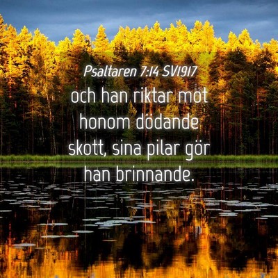 Picture 04 - Psaltaren 7:14 SV1917 - och han riktar mot honom dödande skott, sina - Bible Verse Picture