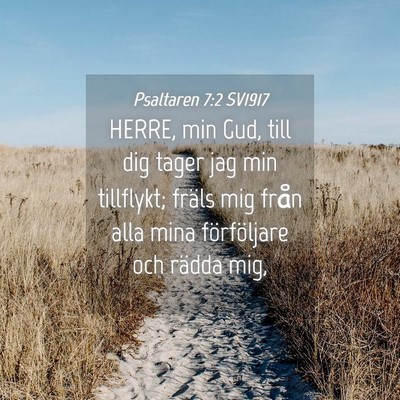 Picture 04 - Psaltaren 7:2 SV1917 - HERRE, min Gud, till dig tager jag min tillflykt; - Bible Verse Picture
