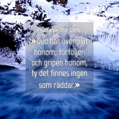 Picture 04 - Psaltaren 71:11 SV1917 - »Gud har övergivit honom; förföljen och - Bible Verse Picture