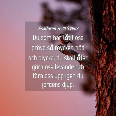Picture 04 - Psaltaren 71:20 SV1917 - Du som har låtit oss pröva så mycken nöd och - Bible Verse Picture