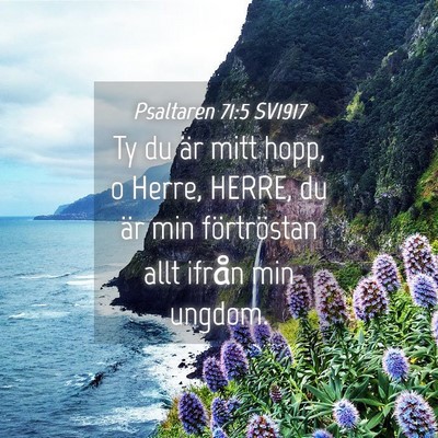 Picture 04 - Psaltaren 71:5 SV1917 - Ty du är mitt hopp, o Herre, HERRE, du är min - Bible Verse Picture
