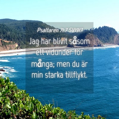 Picture 04 - Psaltaren 71:7 SV1917 - Jag har blivit såsom ett vidunder för många; - Bible Verse Picture