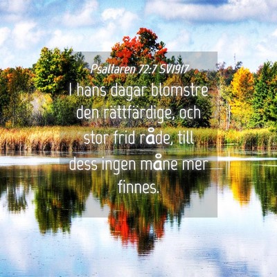 Picture 04 - Psaltaren 72:7 SV1917 - I hans dagar blomstre den rättfärdige, och stor - Bible Verse Picture