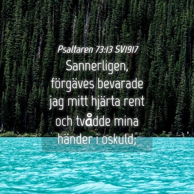 Picture 04 - Psaltaren 73:13 SV1917 - Sannerligen, förgäves bevarade jag mitt hjärta - Bible Verse Picture