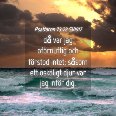 Picture 04 - Psaltaren 73:22 SV1917 - då var jag oförnuftig och förstod intet; - Bible Verse Picture