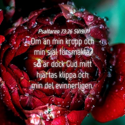 Picture 04 - Psaltaren 73:26 SV1917 - Om än min kropp och min själ försmäkta, så - Bible Verse Picture
