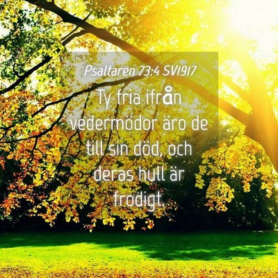 Picture 04 - Psaltaren 73:4 SV1917 - Ty fria ifrån vedermödor äro de till sin död, - Bible Verse Picture