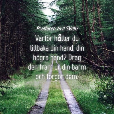 Picture 04 - Psaltaren 74:11 SV1917 - Varför håller du tillbaka din hand, din högra - Bible Verse Picture