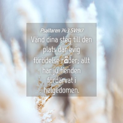 Picture 04 - Psaltaren 74:3 SV1917 - Vänd dina steg till den plats där evig - Bible Verse Picture