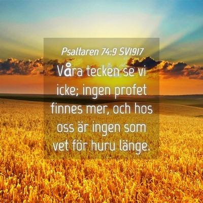 Picture 04 - Psaltaren 74:9 SV1917 - Våra tecken se vi icke; ingen profet finnes mer, - Bible Verse Picture