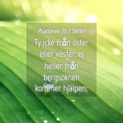 Picture 04 - Psaltaren 75:7 SV1917 - Ty icke från öster eller väster, ej heller - Bible Verse Picture
