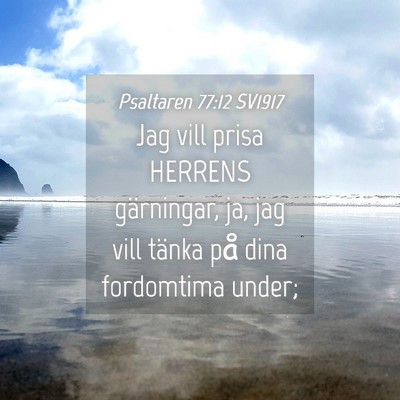 Picture 04 - Psaltaren 77:12 SV1917 - Jag vill prisa HERRENS gärningar, ja, jag vill - Bible Verse Picture