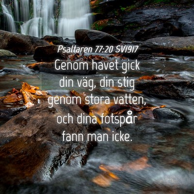 Picture 04 - Psaltaren 77:20 SV1917 - Genom havet gick din väg, din stig genom stora - Bible Verse Picture