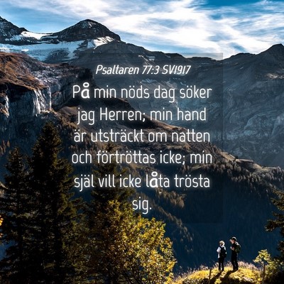 Picture 04 - Psaltaren 77:3 SV1917 - På min nöds dag söker jag Herren; min hand är - Bible Verse Picture