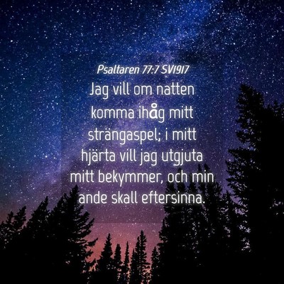 Picture 04 - Psaltaren 77:7 SV1917 - Jag vill om natten komma ihåg mitt strängaspel; - Bible Verse Picture