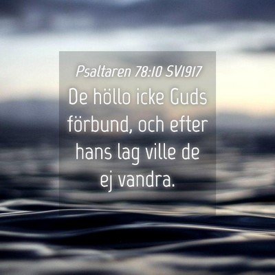 Picture 04 - Psaltaren 78:10 SV1917 - De höllo icke Guds förbund, och efter hans lag - Bible Verse Picture