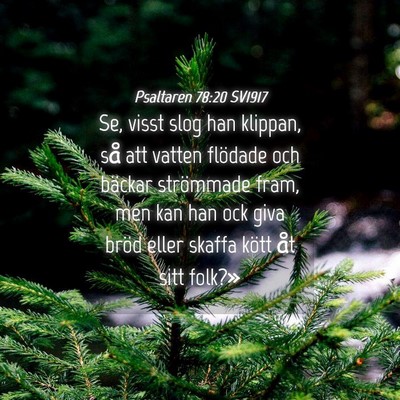 Picture 04 - Psaltaren 78:20 SV1917 - Se, visst slog han klippan, så att vatten - Bible Verse Picture