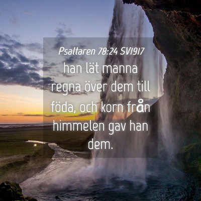 Picture 04 - Psaltaren 78:24 SV1917 - han lät manna regna över dem till föda, och - Bible Verse Picture