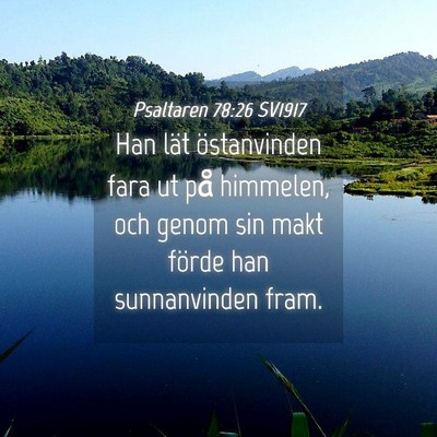Picture 04 - Psaltaren 78:26 SV1917 - Han lät östanvinden fara ut på himmelen, och - Bible Verse Picture