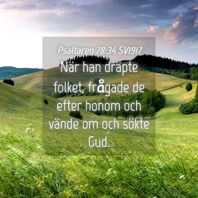 Picture 04 - Psaltaren 78:34 SV1917 - När han dräpte folket, frågade de efter honom - Bible Verse Picture