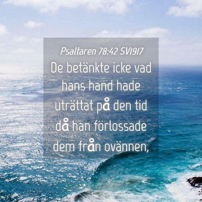 Picture 04 - Psaltaren 78:42 SV1917 - De betänkte icke vad hans hand hade uträttat - Bible Verse Picture