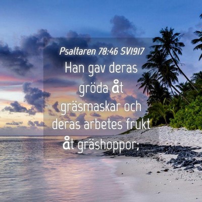 Picture 04 - Psaltaren 78:46 SV1917 - Han gav deras gröda åt gräsmaskar och deras - Bible Verse Picture