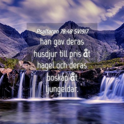 Picture 04 - Psaltaren 78:48 SV1917 - han gav deras husdjur till pris åt hagel och - Bible Verse Picture