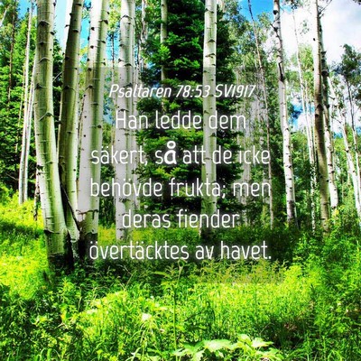 Picture 04 - Psaltaren 78:53 SV1917 - Han ledde dem säkert, så att de icke behövde - Bible Verse Picture