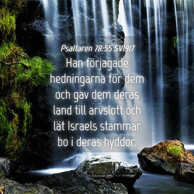 Picture 04 - Psaltaren 78:55 SV1917 - Han förjagade hedningarna för dem och gav dem - Bible Verse Picture