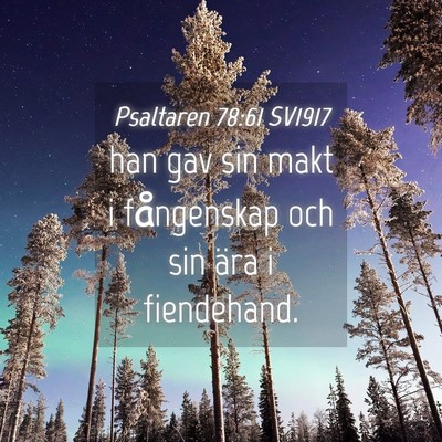 Picture 04 - Psaltaren 78:61 SV1917 - han gav sin makt i fångenskap och sin ära i - Bible Verse Picture