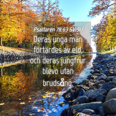 Picture 04 - Psaltaren 78:63 SV1917 - Deras unga män förtärdes av eld, och deras - Bible Verse Picture