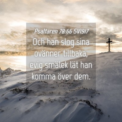 Picture 04 - Psaltaren 78:66 SV1917 - Och han slog sina ovänner tillbaka, evig smälek - Bible Verse Picture
