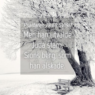 Picture 04 - Psaltaren 78:68 SV1917 - Men han utvalde Juda stam, Sions berg, som han - Bible Verse Picture