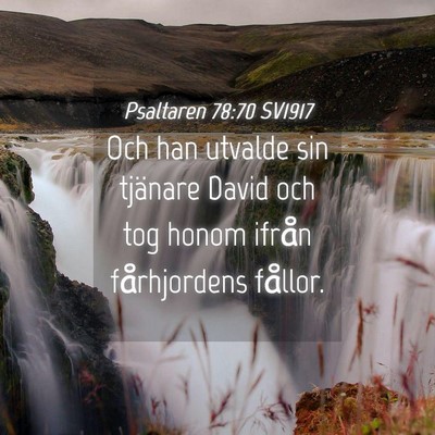 Picture 04 - Psaltaren 78:70 SV1917 - Och han utvalde sin tjänare David och tog honom - Bible Verse Picture
